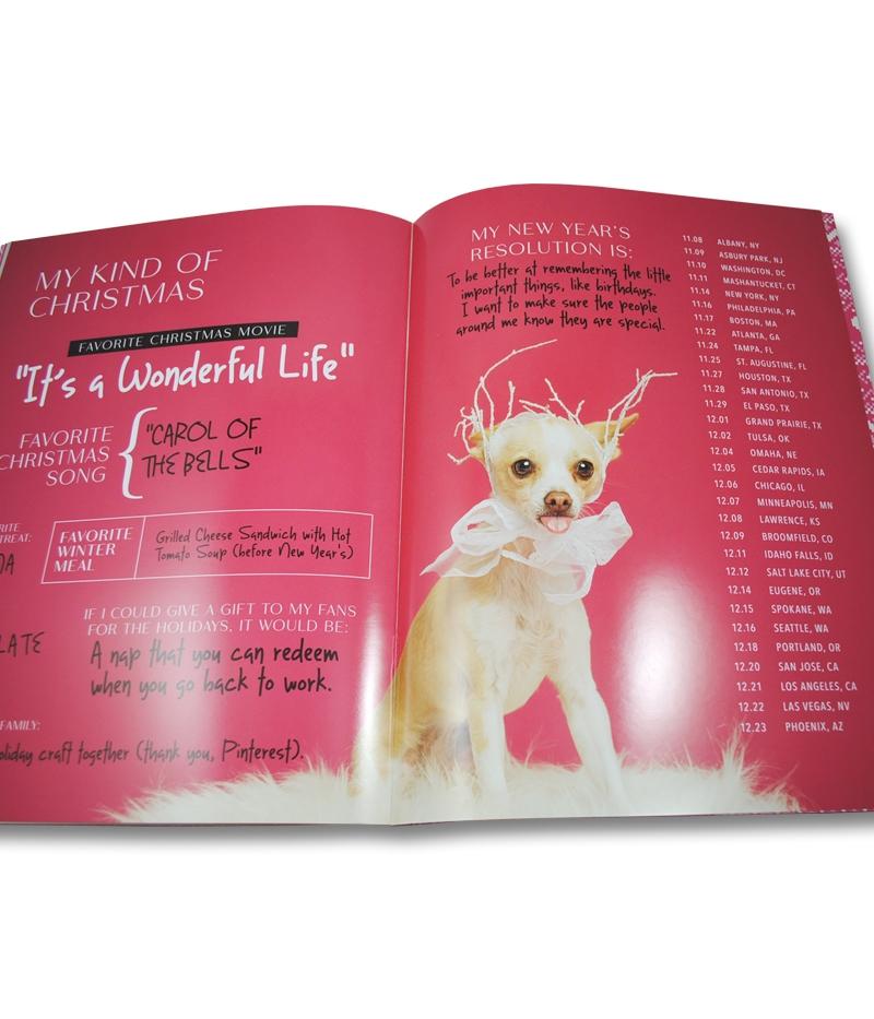 Lindsey Stirling Warmer In The Winter Tour Program
