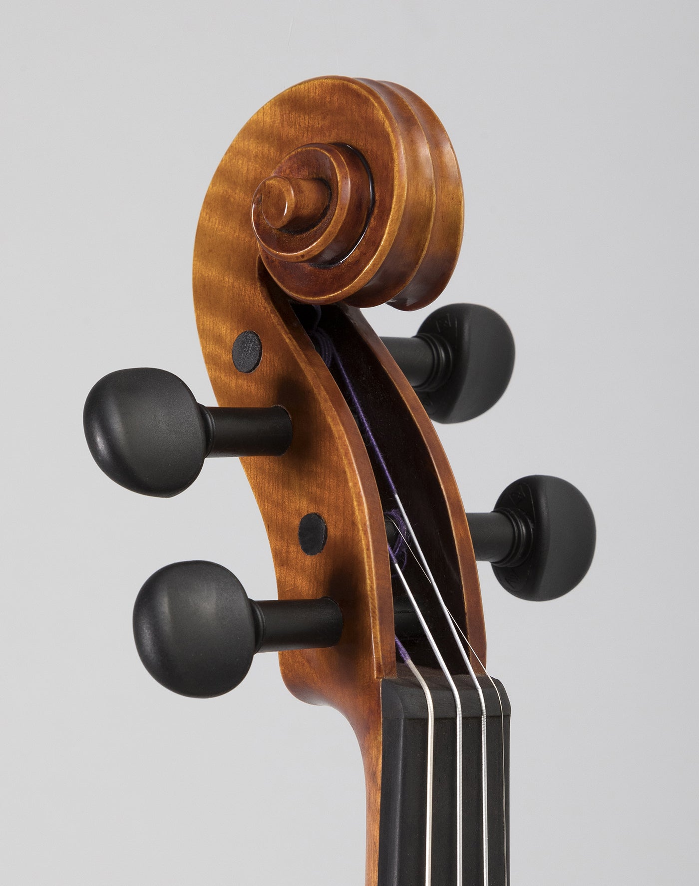 Violin Scroll Design